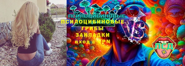 амф Аркадак