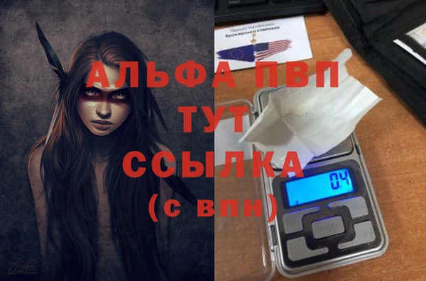 амф Аркадак
