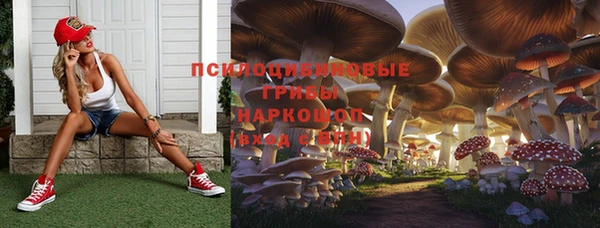 амф Аркадак