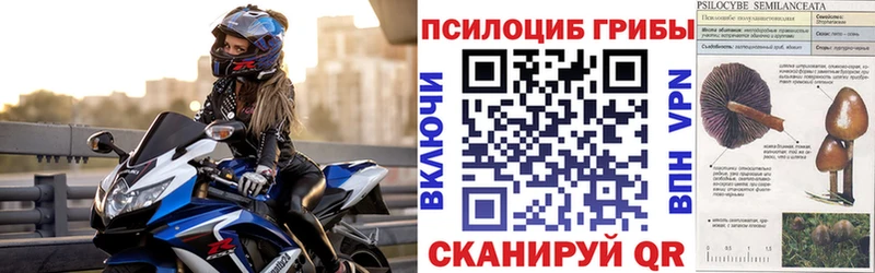 как найти закладки  Бокситогорск  Галлюциногенные грибы мухоморы 